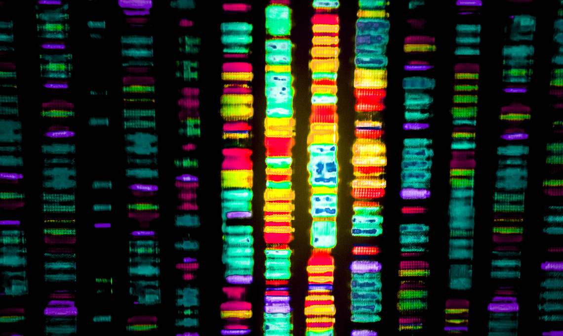 Human DNA sequence